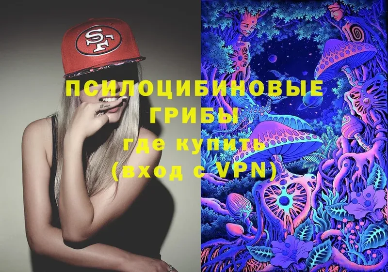 где можно купить   Десногорск  Галлюциногенные грибы Magic Shrooms 